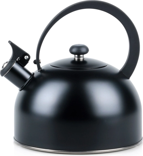 Bouilloire siffleuse en acier 3 l noir mat
