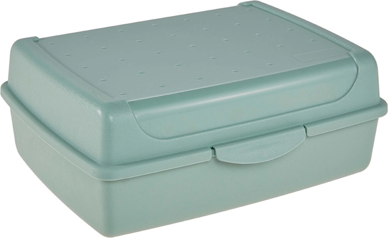 Boîte à déjeuner vert nordique 30 × 20 × 8,5 cm