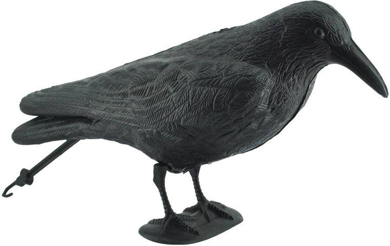 Corbeau – maquette pour effaroucher étourneaux et pigeons