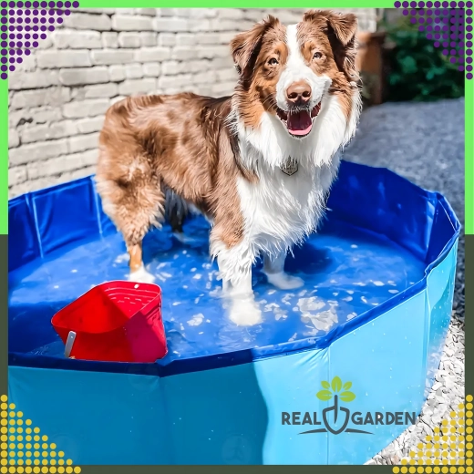 Piscine pliable pour chien 60 × 20 cm