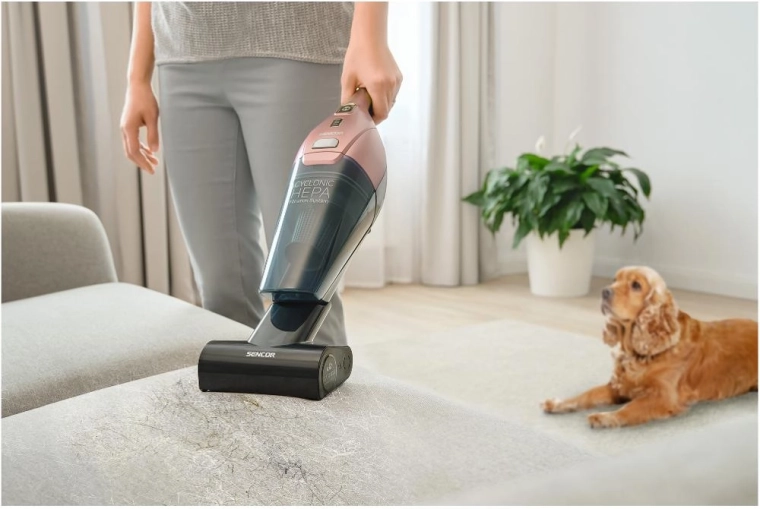 Aspirateur à main et brosse Cat & Dog Mini
