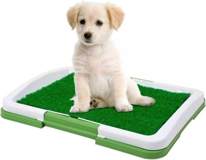 Toilette pour chiens avec gazon artificiel 47 × 34 × 6 cm