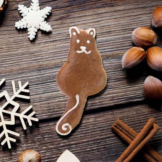 Décorations créatives pour les fêtes et toute l’année