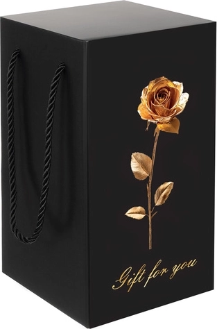 Emballage cadeau luxueux prêt à offrir