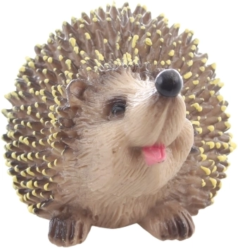 Dimensions compactes et base stable