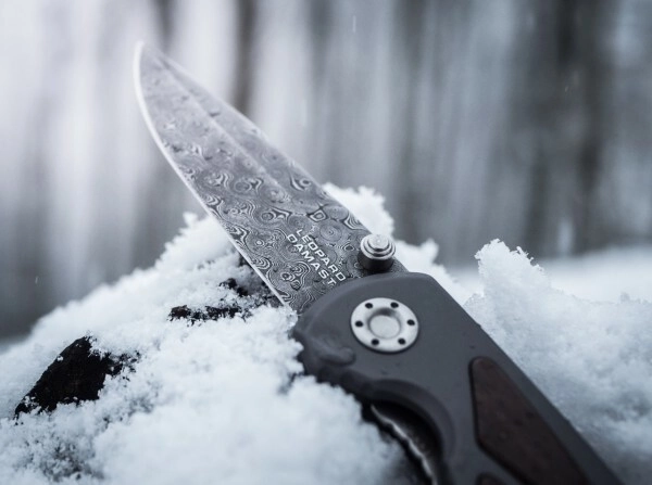 Manche premium avec bois de Ziricote