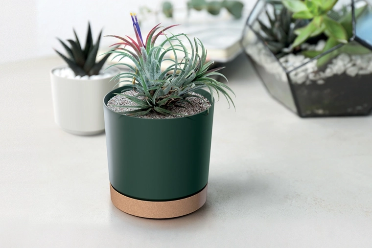 Design minimaliste pour chaque espace