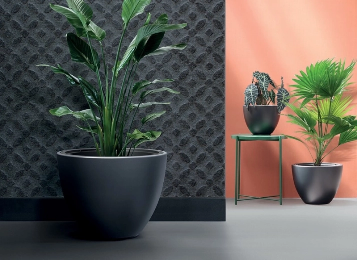 Design minimaliste moderne