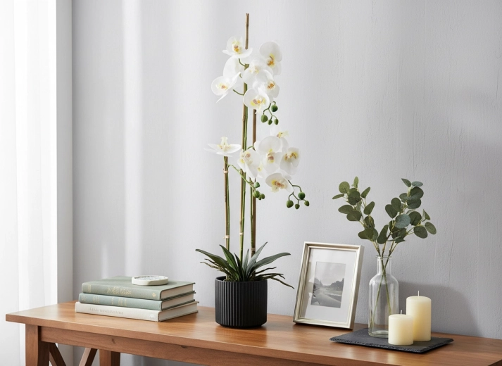 Hauteur idéale 77 cm