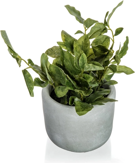 Verdure réaliste sans souci