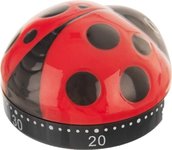 Design joyeux en forme de coccinelle