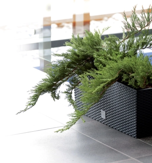 Plastique résistant et entretien facile