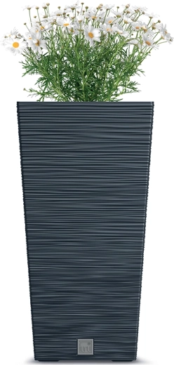 Design nervuré moderne