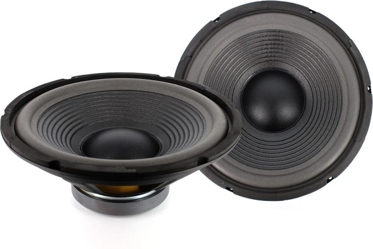 Haut-parleur CARGUARD 12 pouces 300 W