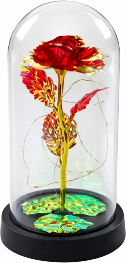Rose romantique sous une cloche protectrice