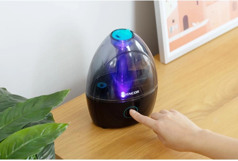 Sortie de brume orientable et veilleuse