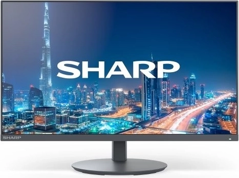 Moniteur noir NEC MultiSync 22"