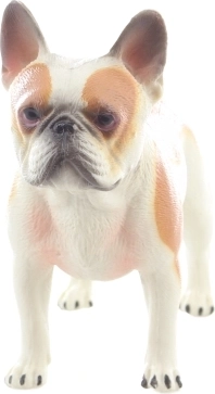 Taille idéale pour les petites mains