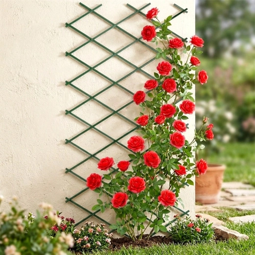 Support élégant pour rosiers et autres grimpantes