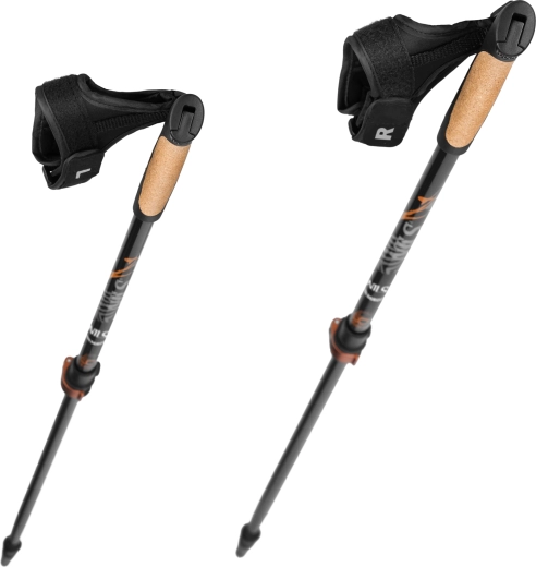 Structure légère et rigide avec 50 % de carbone