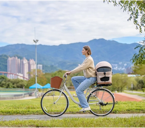 Dimensions pratiques pour un usage quotidien