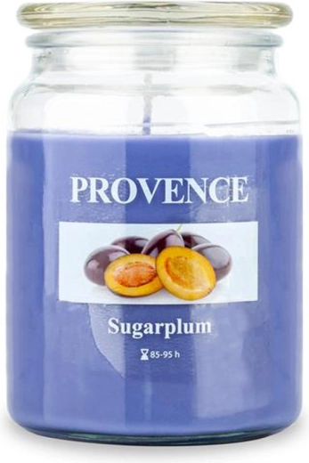 Bougie parfumée en verre PROVENCE prune 95 heures