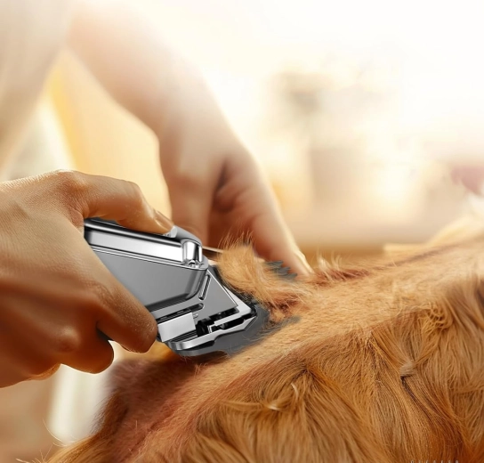 Coupe 1–12 mm et utilisation sur le pelage des chiens et des chats
