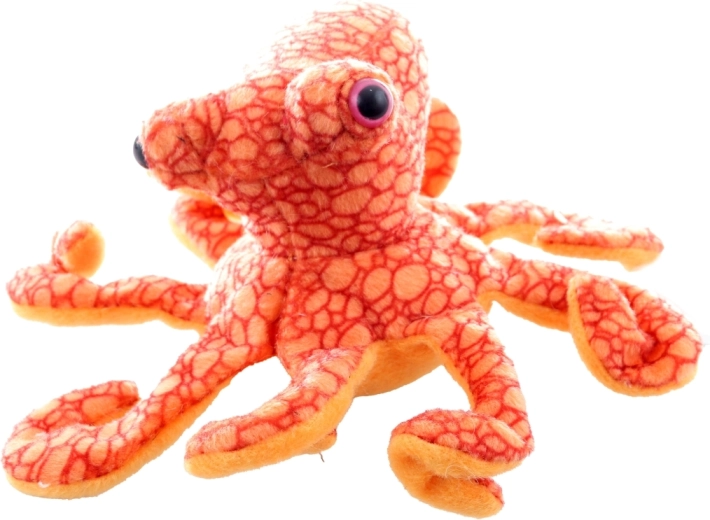 Sûre dès la naissance (0+)