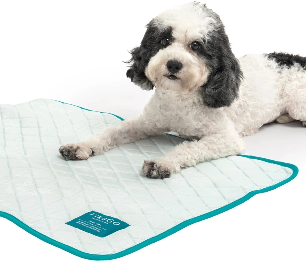 Léger, compact et prêt pour le voyage