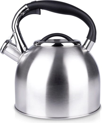 Bouilloire en acier avec sifflet 2 l, argentée