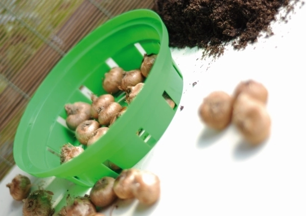 Protection contre les ravageurs et ordre dans le massif