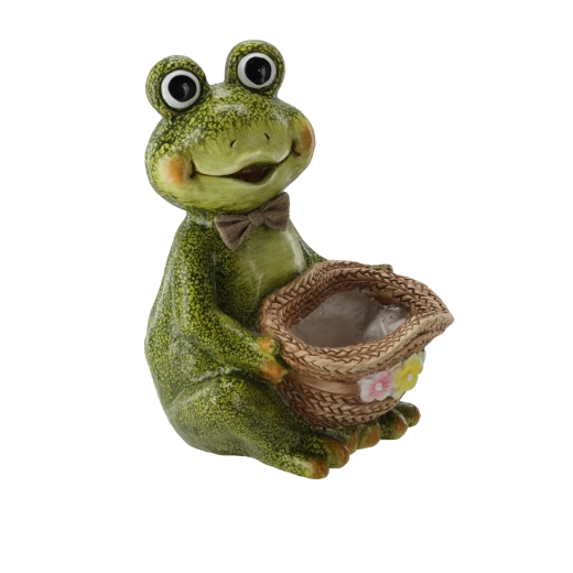 Dimensions pratiques pour divers types de plantations