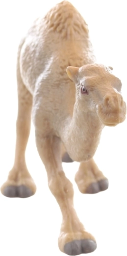 Taille idéale pour les mains des enfants