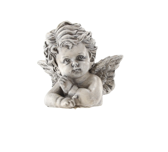 Détails soignés de l’ange et des ailes