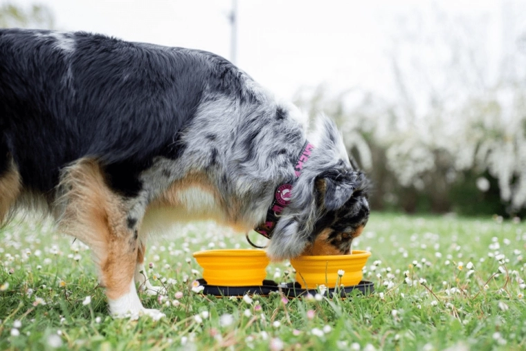 Utilisation rapide partout