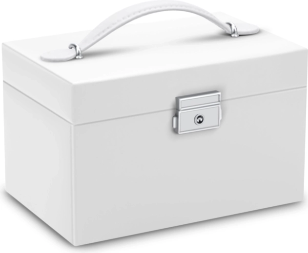 Boîte verrouillable avec poignée pour un transport facile