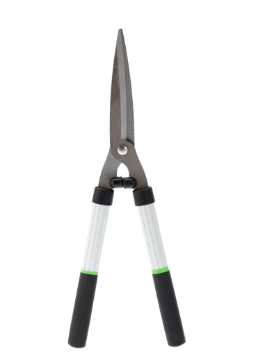 Coupe précise et mise en forme des haies