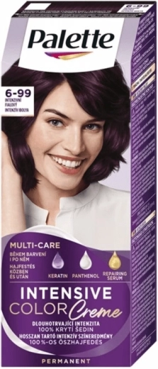 Palette Intensive Color Creme 6-99 violet intense 50 ml