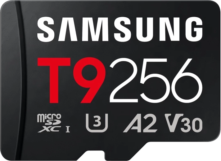 Carte mémoire microSD Samsung T9 256 Go