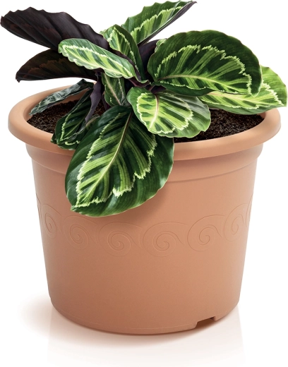 Aspect décoratif terracotta