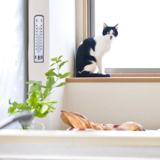 Design élégant en bois