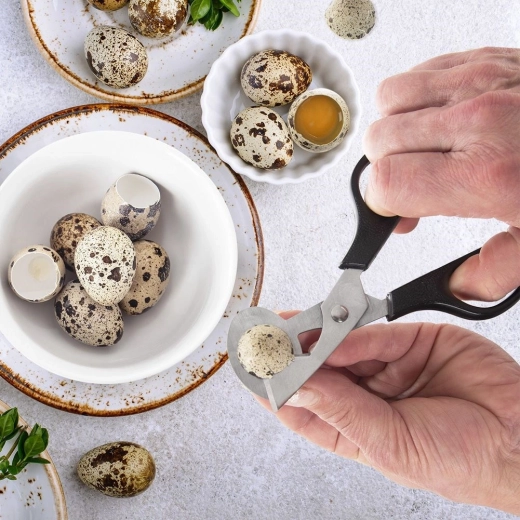 Ouverture propre sans coquilles