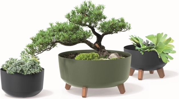 Collection écologique ECO WOOD