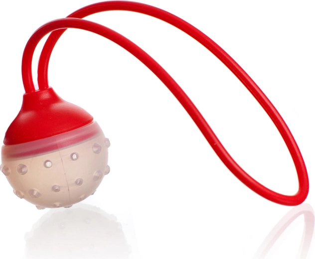 Passoire en silicone pour thé et épices CULINARIA, 5 × 22 cm, rouge