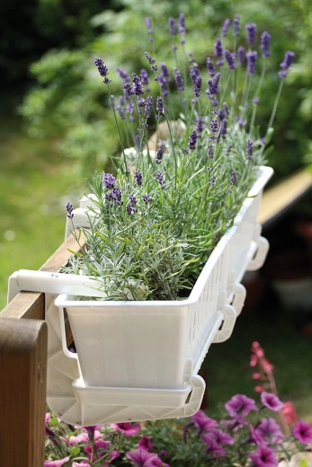 Universel pour la plupart des rambardes