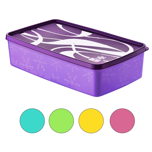 Boîte en plastique FROST 2 l pour congélateur et réfrigérateur