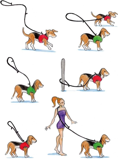 Trois longueurs réglables pour chaque situation