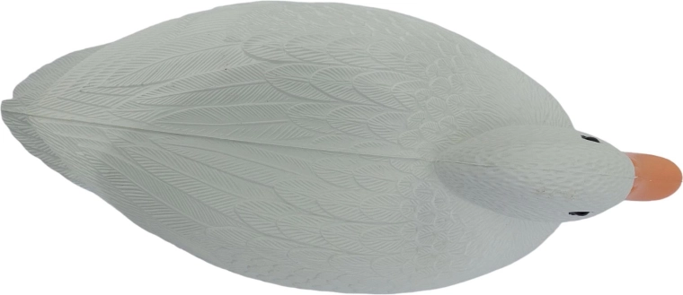 Légère et stable à la surface de l’eau