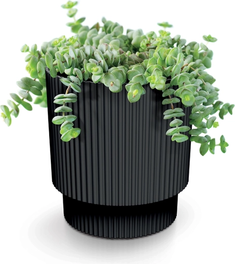 Favorise la croissance saine des plantes