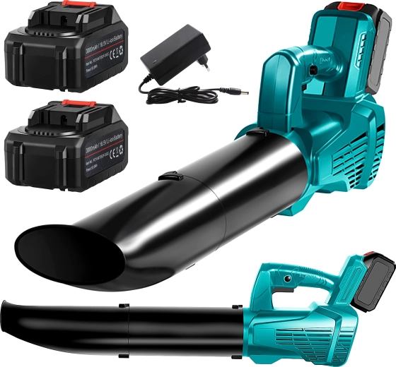 Deux batteries et un chargeur inclus